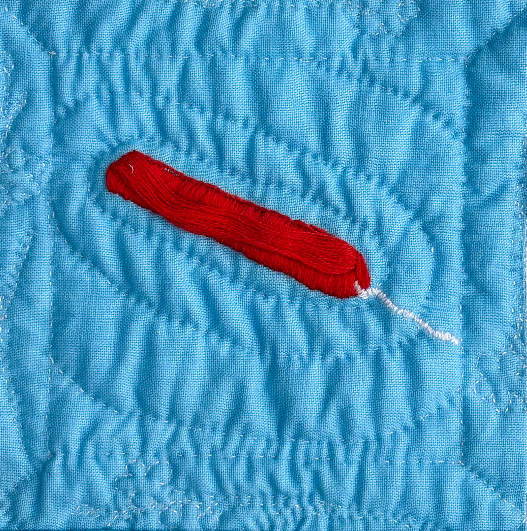 An embroidered rescue flotation device on blue cotton.