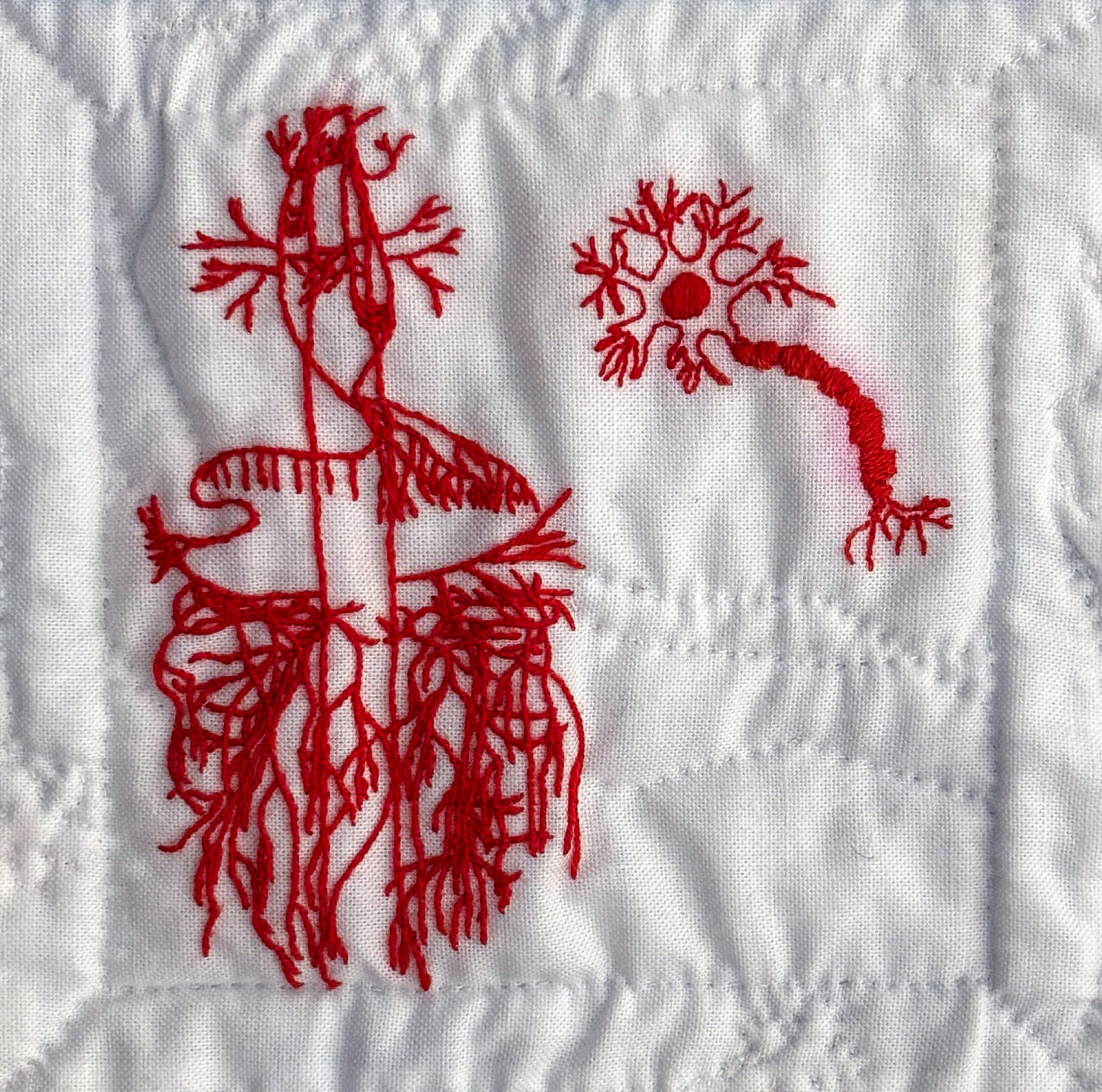 Redwork embroidery of the vagus nerve and a neuron on white cotton.